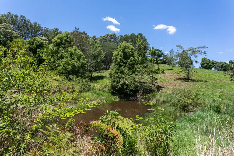 Sixth view of Homely land listing, 91 Ironstone Creek Road, Tuchekoi QLD 4570