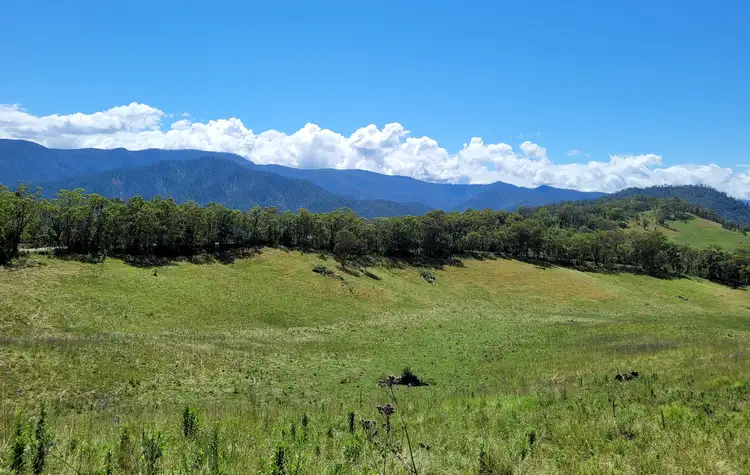 Fifth view of Homely rural property listing, 472 Neringla Road, Neringla NSW 2622