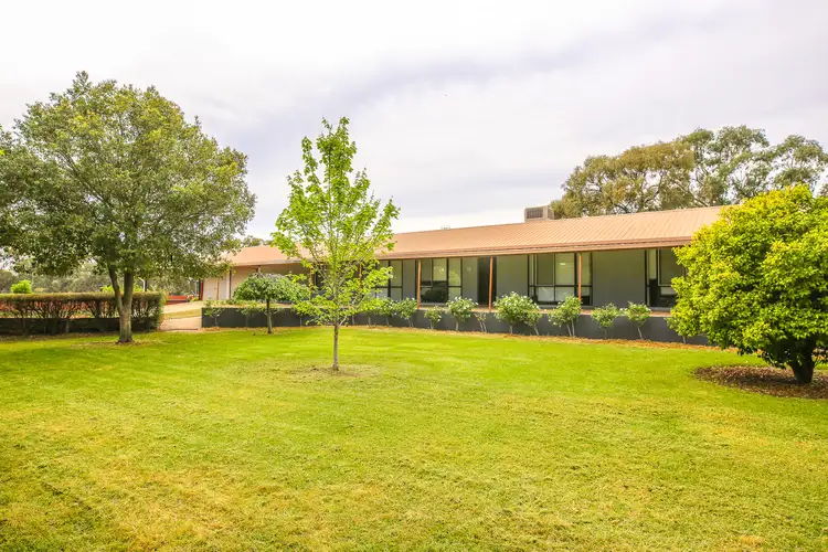 208 Wanderer St (Conargo Road), Deniliquin NSW 2710