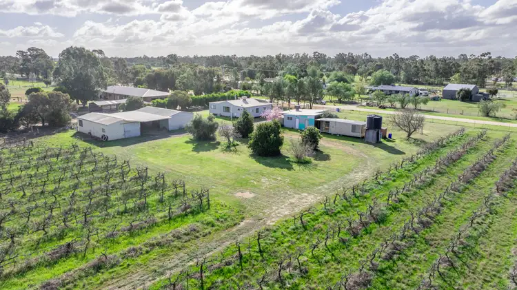 Second view of Homely house listing, 38 Ferris Street, Bearii VIC 3641