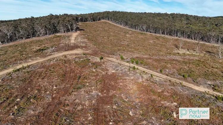 Third view of Homely rural property listing, "Cameron's Hill" Delegate Road, Delegate NSW 2633