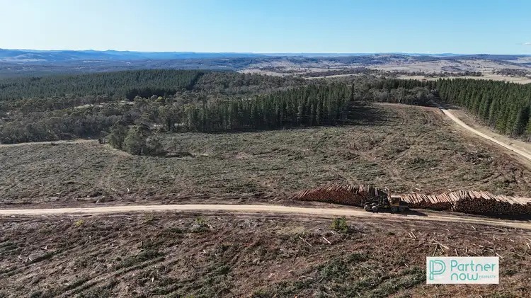 Fourth view of Homely rural property listing, "Cameron's Hill" Delegate Road, Delegate NSW 2633