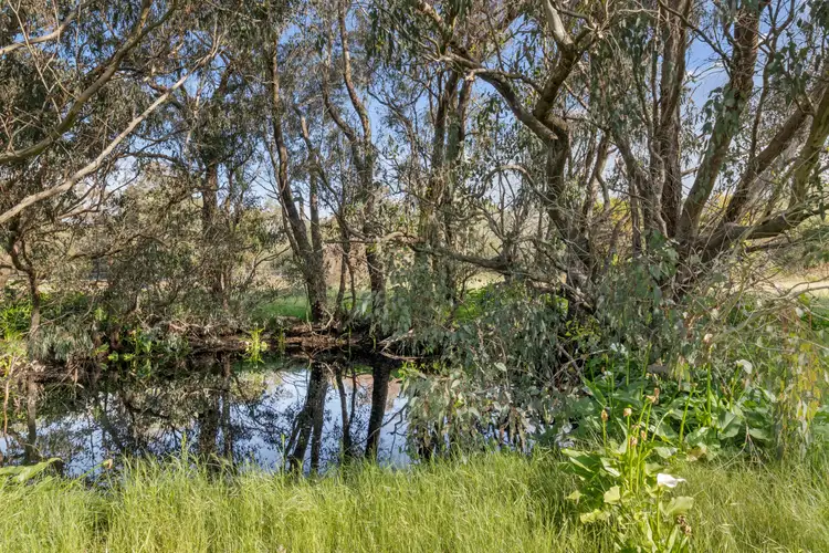 Fifth view of Homely land listing, 8 Paperbark Way, Vasse WA 6280