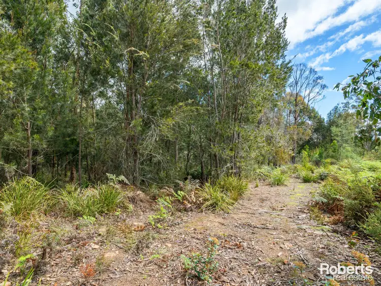 Fourth view of Homely land listing, 12 Forest Heights Drive, Tugrah TAS 7310