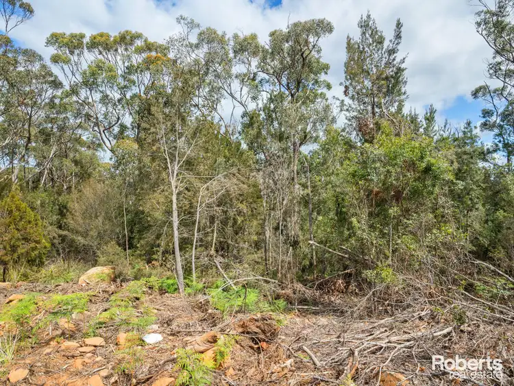 Fifth view of Homely land listing, 12 Forest Heights Drive, Tugrah TAS 7310