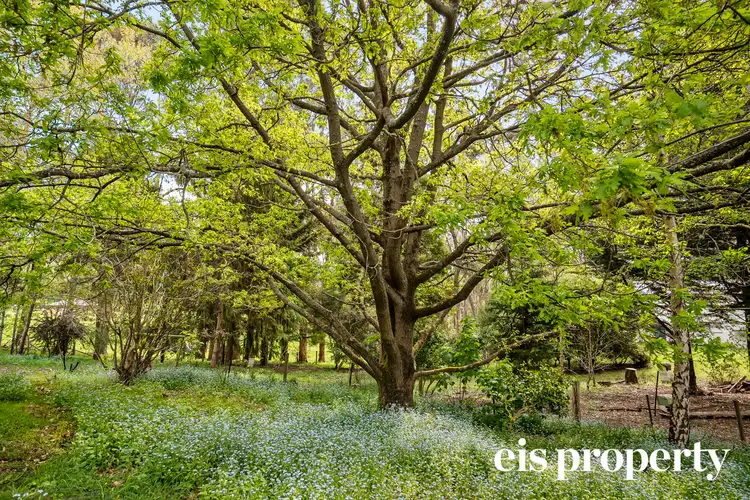 Second view of Homely house listing, 48 O'Hallorans Road, Geeveston TAS 7116