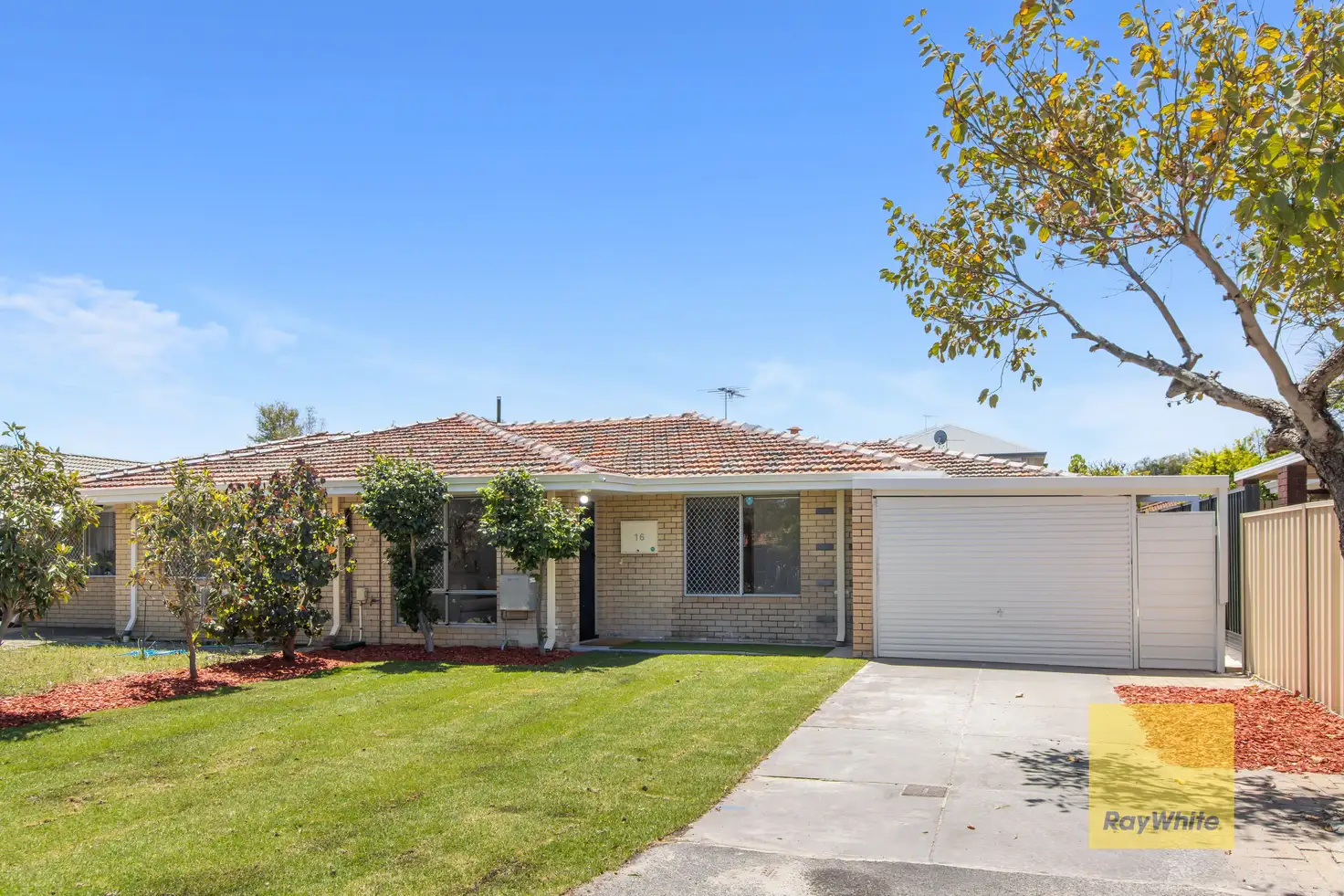 Main view of Homely semi-detached listing, 16 Apollo Way, Carlisle WA 6101