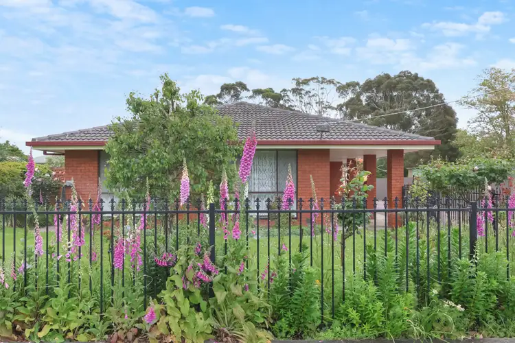 Second view of Homely house listing, 13 Ewing Street, Terang VIC 3264