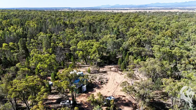 Main view of Homely rural property listing, 203 Oakdale Lane, Turrawan NSW 2390