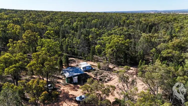 Third view of Homely rural property listing, 203 Oakdale Lane, Turrawan NSW 2390