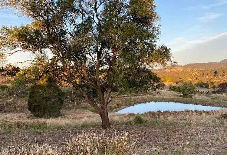 Fifth view of Homely rural property listing, 120 Norries Road, Bunyah NSW 2429