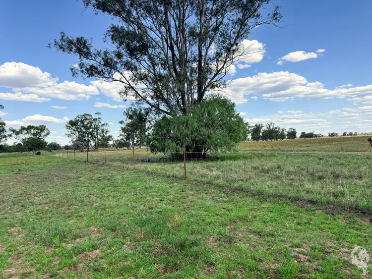 Sixth view of Homely rural property listing, 103 Prices Lane, Wee Waa NSW 2388