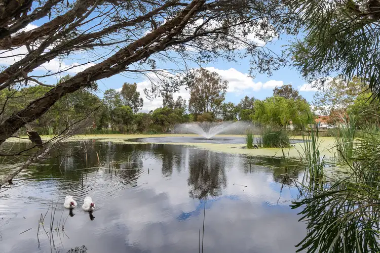 Main view of Homely villa listing, 1/2 Toms Court, Bayswater WA 6053