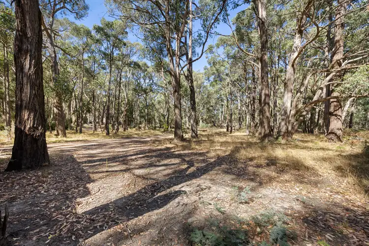 Third view of Homely rural property listing, 75 Feeneys Lane, Benloch VIC 3435