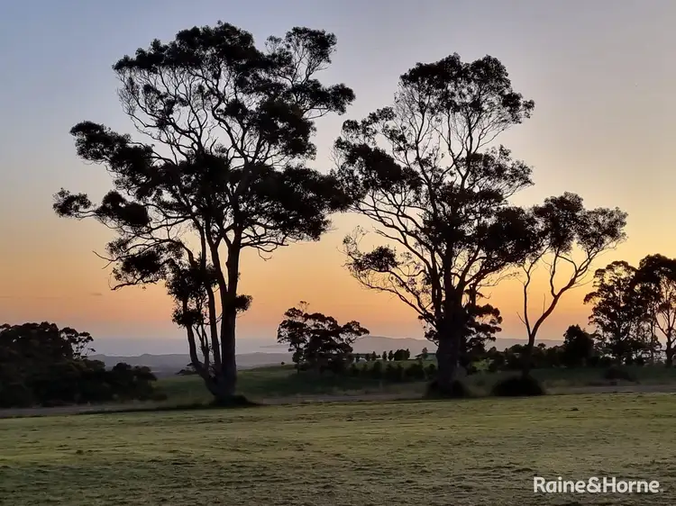 Fifth view of Homely rural property listing, 646 McLeod Road, Scotsdale WA 6333