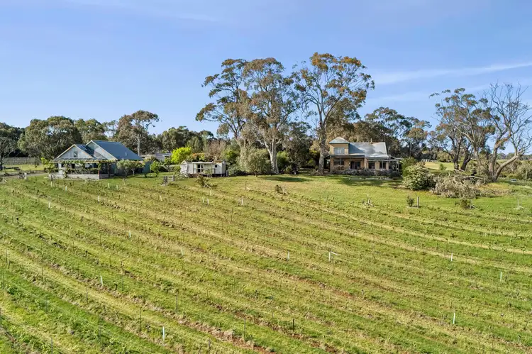 Third view of Homely house listing, 201 Zig Zag Road, Drummond North VIC 3446