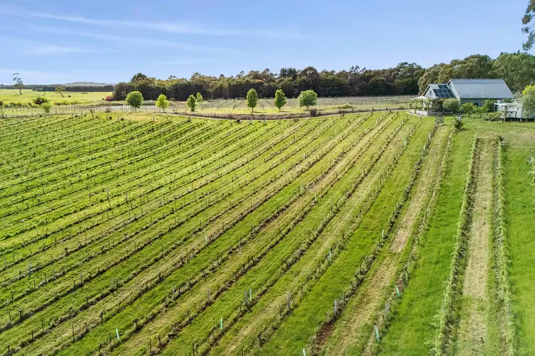 Fourth view of Homely house listing, 201 Zig Zag Road, Drummond North VIC 3446