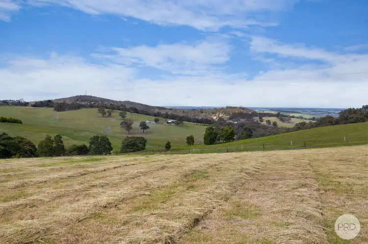 Fifth view of Homely land listing, Lot 4 Flagstaff Ridge Road, Linton VIC 3360