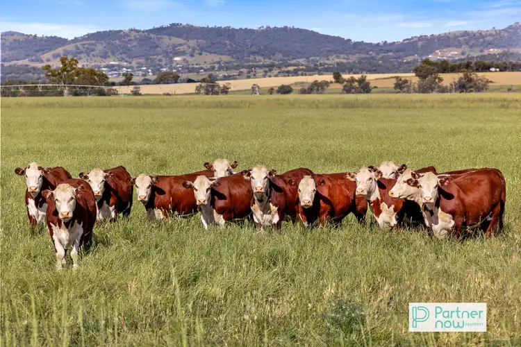 "Terragong" 166 Old Winton Road, Tamworth NSW 2340