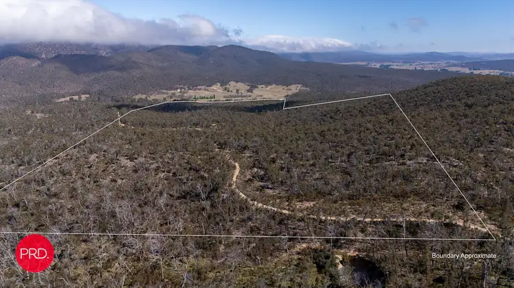 Third view of Homely rural property listing, 388 Peak View Rd, Numeralla NSW 2630