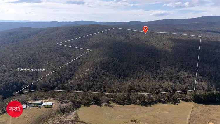 Fourth view of Homely rural property listing, 388 Peak View Rd, Numeralla NSW 2630