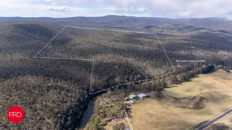 Fifth view of Homely rural property listing, 388 Peak View Rd, Numeralla NSW 2630