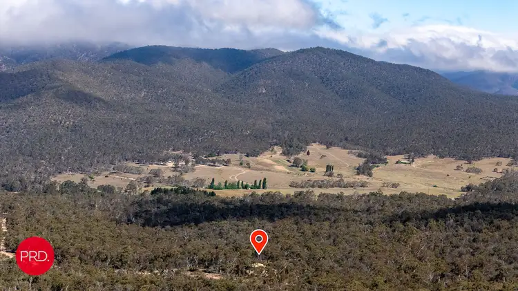 Sixth view of Homely rural property listing, 388 Peak View Rd, Numeralla NSW 2630