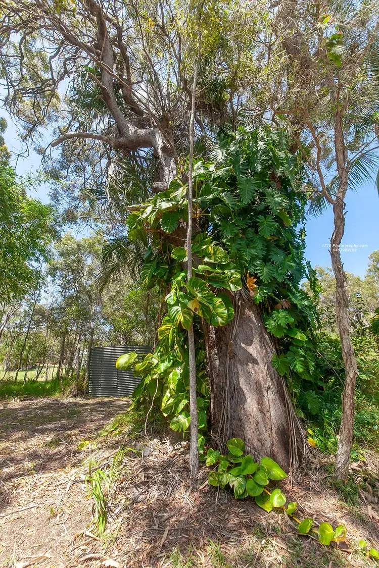 Seventh view of Homely rural property listing, 85 Wilson, Agnes Water QLD 4677