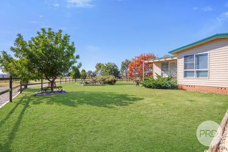 Second view of Homely rural property listing, 42 Jenners Lane, Tamworth NSW 2340