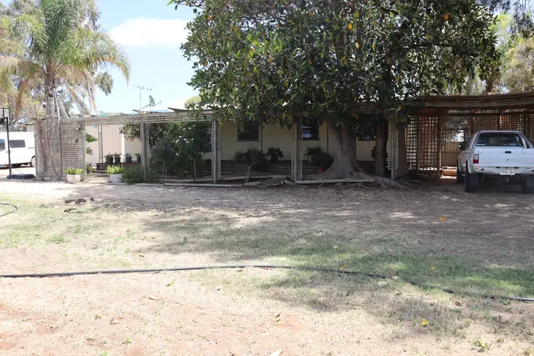 Main view of Homely house listing, 618 Hunt Road, Barmera SA 5345