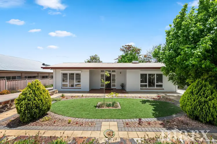 9 Moculta Road, Angaston SA 5353