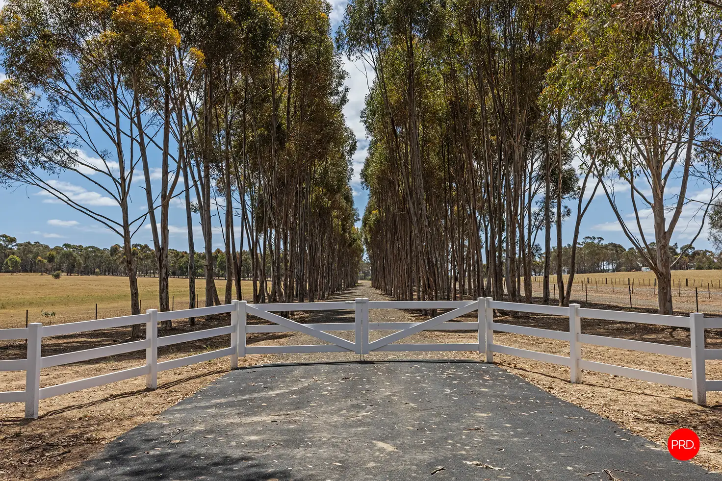 Main view of Homely land listing, 1313 McIvor Highway, Longlea VIC 3551