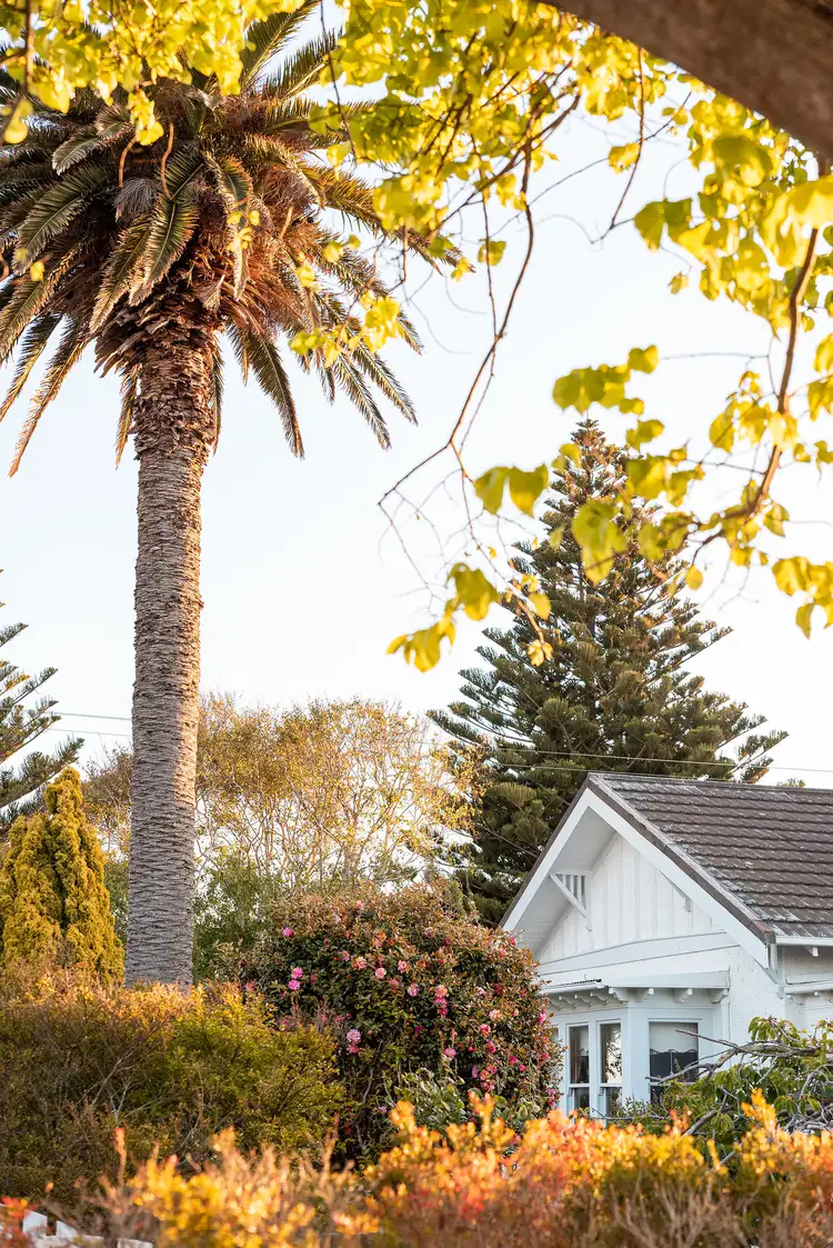 33 Main Road, Stanley TAS 7331