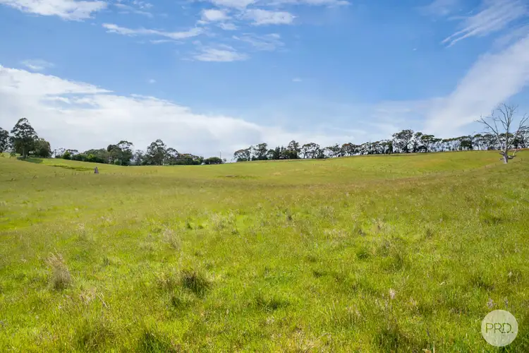 Fifth view of Homely land listing, Lot 1 Flagstaff Ridge Road, Linton VIC 3360