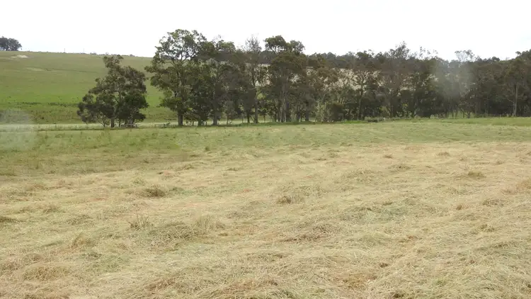 Third view of Homely rural property listing, Lot 102 Jindong-Treeton Road, Osmington WA 6285
