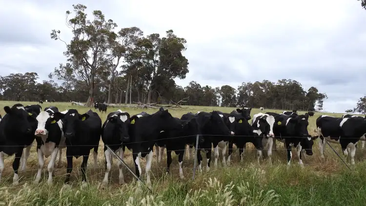 Fifth view of Homely rural property listing, Lot 102 Jindong-Treeton Road, Osmington WA 6285