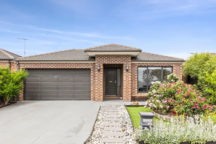 14 Werner Avenue, Marshall VIC 3216