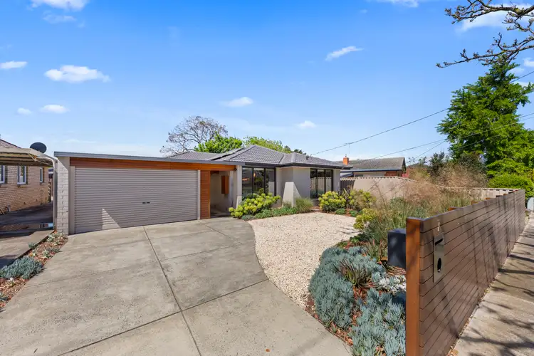 Second view of Homely house listing, 7 Camelia Grove, Cheltenham VIC 3192