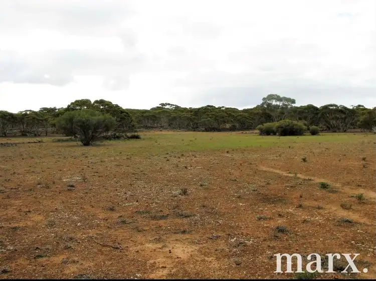 Lot 1 W Falkenbergs Road, Sedan SA 5353