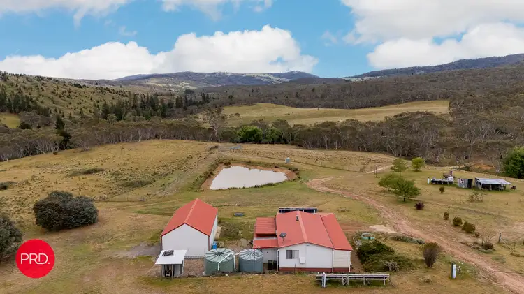 Main view of Homely rural property listing, 203 Wolgal Road, Captains Flat NSW 2623