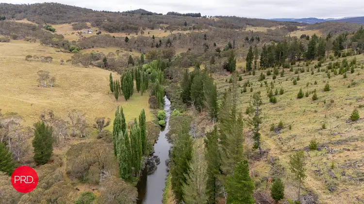 Fourth view of Homely rural property listing, 203 Wolgal Road, Captains Flat NSW 2623