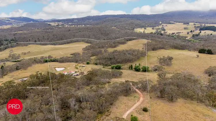 Fifth view of Homely rural property listing, 203 Wolgal Road, Captains Flat NSW 2623