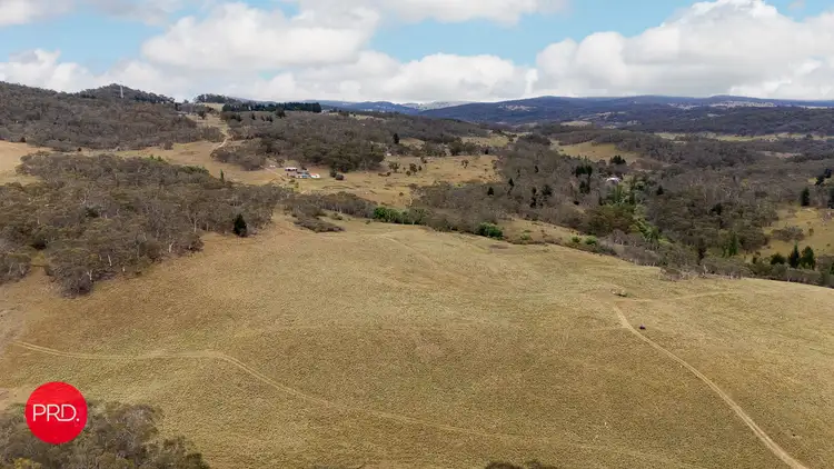 Sixth view of Homely rural property listing, 203 Wolgal Road, Captains Flat NSW 2623