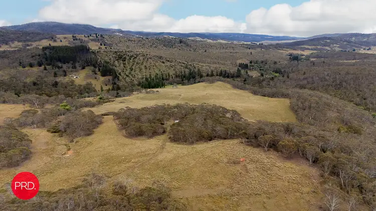 Seventh view of Homely rural property listing, 203 Wolgal Road, Captains Flat NSW 2623