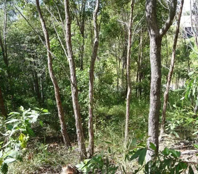 Third view of Homely land listing, 6 Bayview Close, Agnes Water QLD 4677