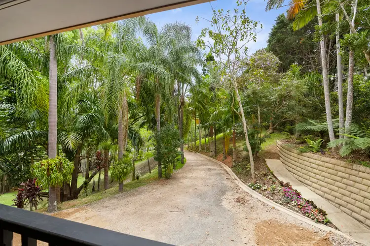 Third view of Homely rural property listing, 1245 Kyogle Road, Uki NSW 2484