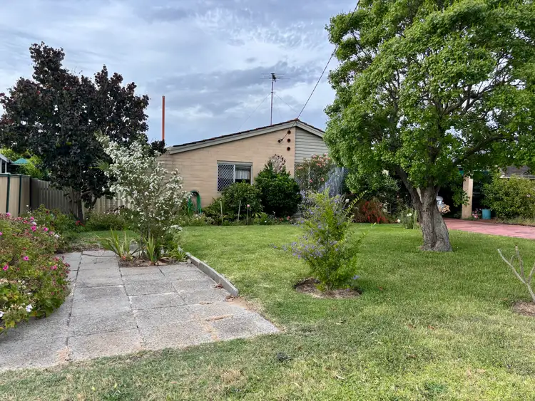 Second view of Homely house listing, 3 Ixora Place, Pinjarra WA 6208