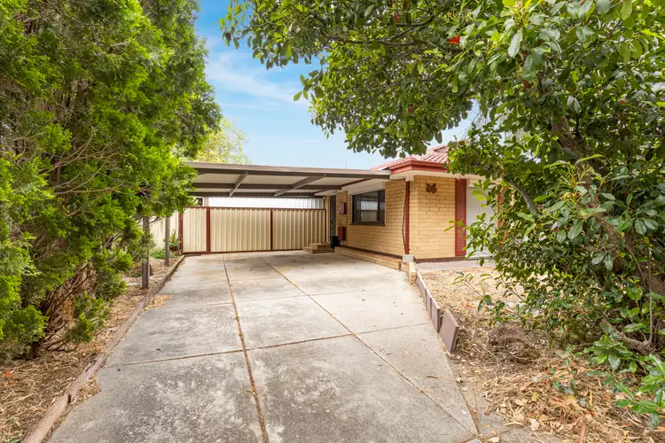 Fifth view of Homely house listing, 23 Delbridge Drive, Kenwick WA 6107