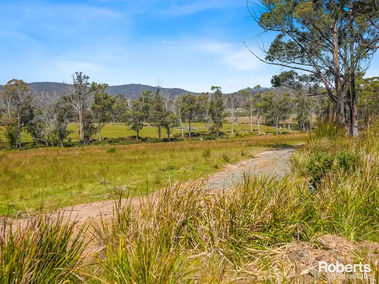 Fifth view of Homely land listing, LOT 1, 233 Ferndale Road, Bicheno TAS 7215