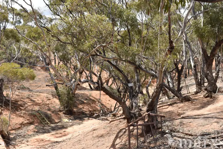 Seventh view of Homely rural property listing, Section 22 Angle Road, Brownlow SA 5374